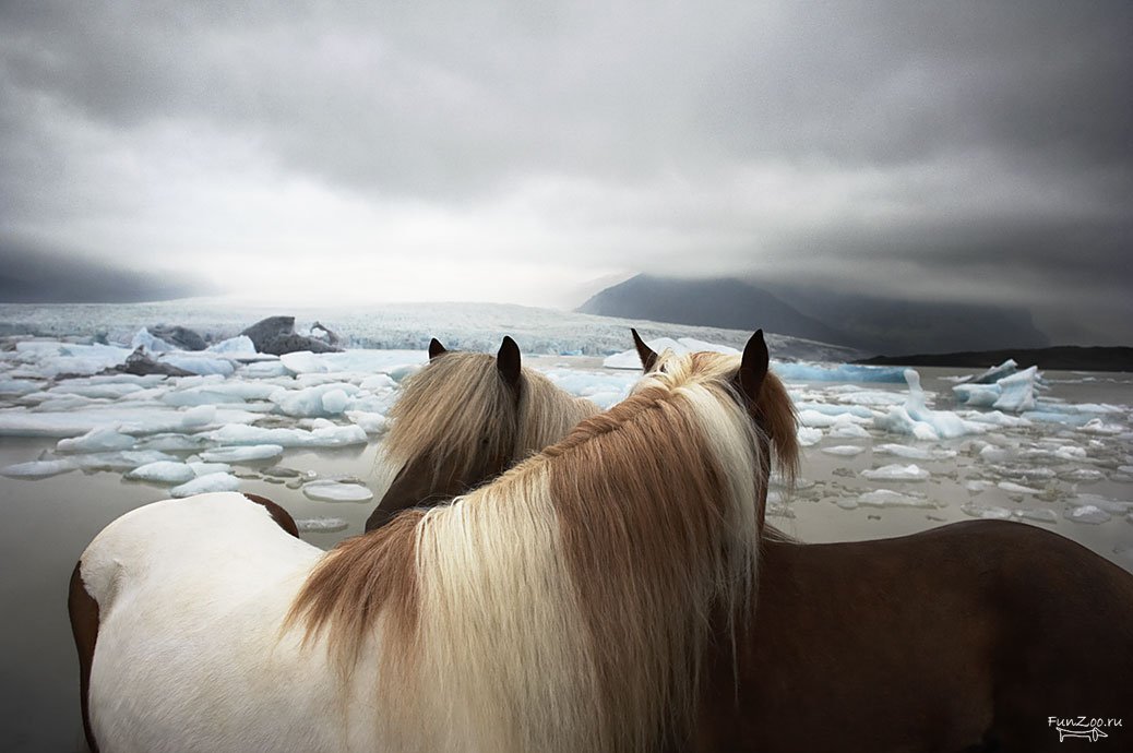 1228766965_tim_flach025