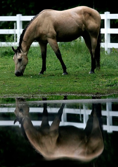 crweather030605-0x586